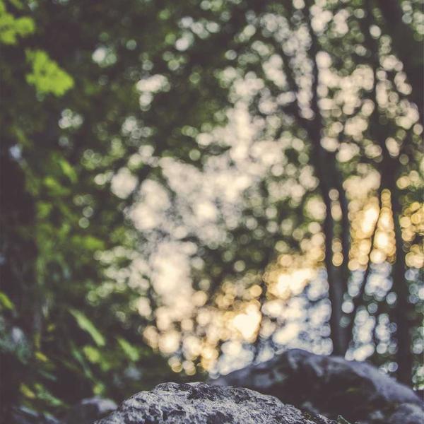 Bose QuietComfort 45 Wireless